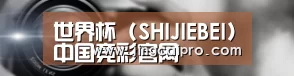 公司动态