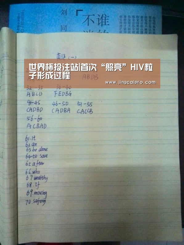 世界杯下注官网