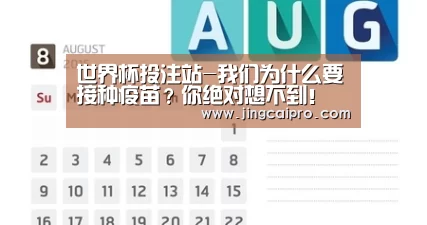 世界杯投注站
