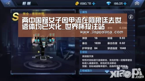 两中国籍女子因甲流在阿根廷去世遗体均已火化_世界杯投注站(图2) 世界杯下注官网